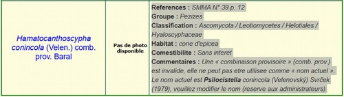 Hamatocanthoscypha conicola - 